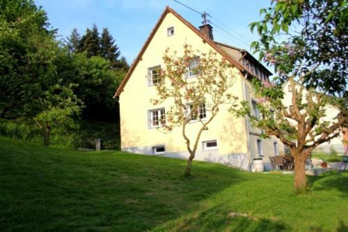 Ferienhaus Hilberath Villa อาเดเนา ภายนอก รูปภาพ